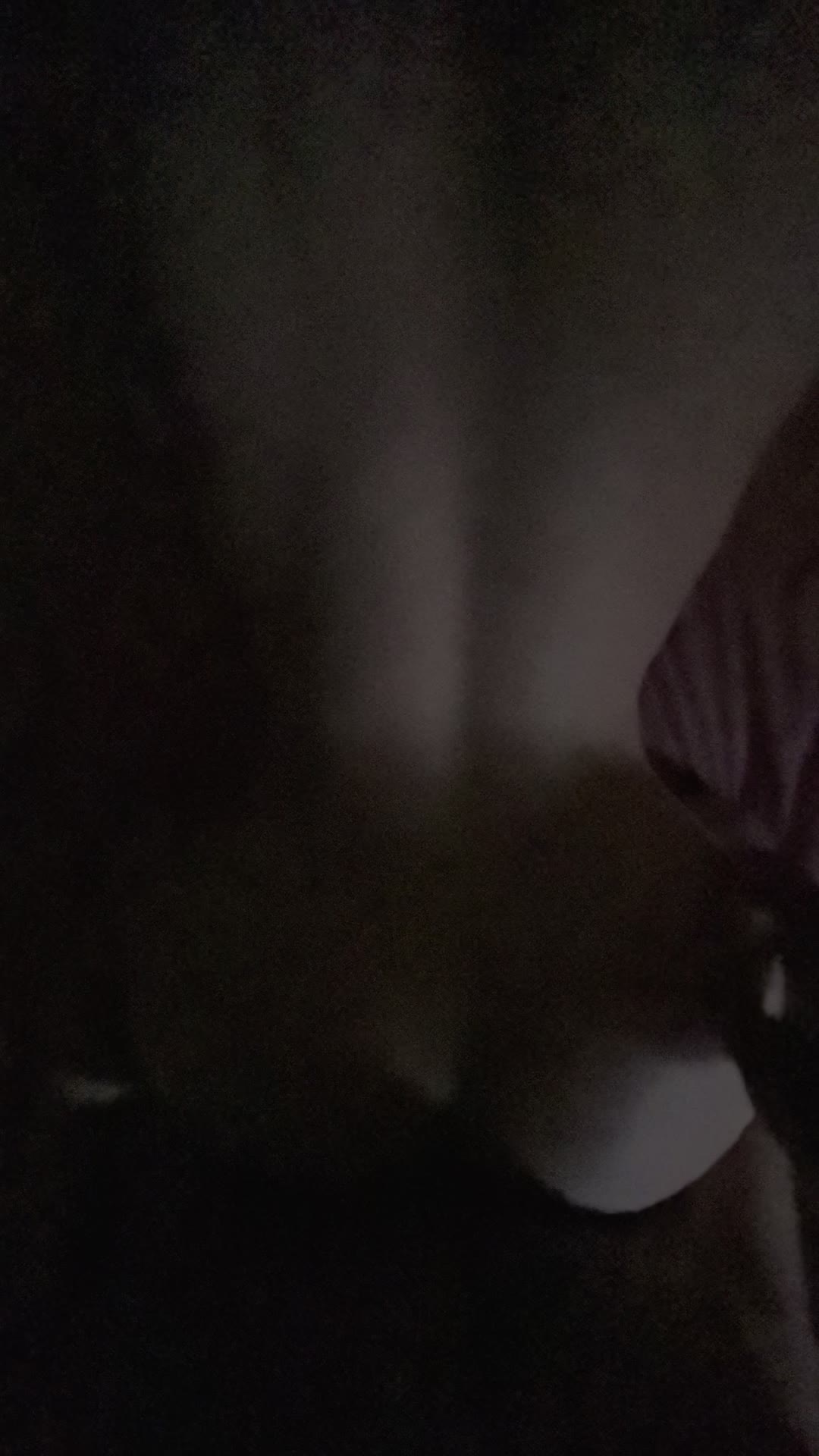 体制内小母狗